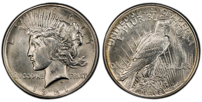 1921 Peace Silver Dollar -Choice Unc. Details - 1921 High Relief Peace Dollar Silver - Very High Grade, Key Date