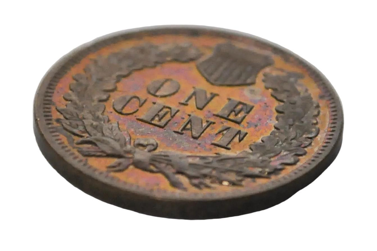 1902 Proof Indian Head Accidentally Circulated - Proof Indian Head 1902 Circulated