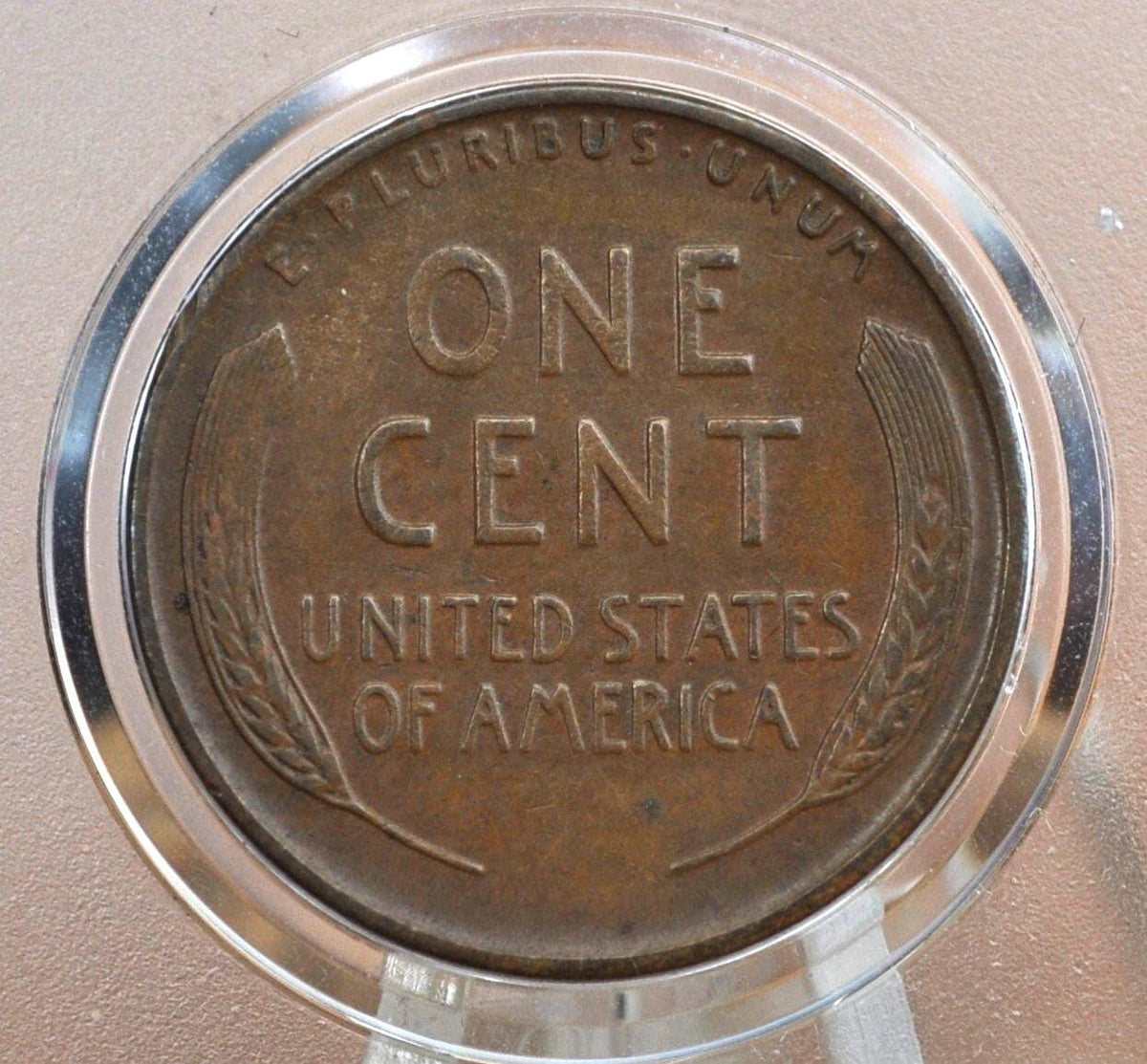 1931-S Wheat Penny - XF (Extremely Fine) Grade / Condition - San Francisco Mint - Key Date Wheat - 1931S Wheat Back Cent Wheat Ear 1931 S