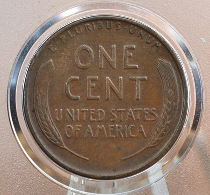 1931-S Wheat Penny - XF (Extremely Fine) Grade / Condition - San Francisco Mint - Key Date Wheat - 1931S Wheat Back Cent Wheat Ear 1931 S