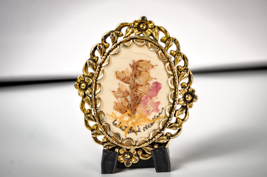 Vintage Oval Brooch Pendant Mid Century Botanical Jewelry - Real Pressed Flower Brooch Gold Ornate Filigree Framed Pendant