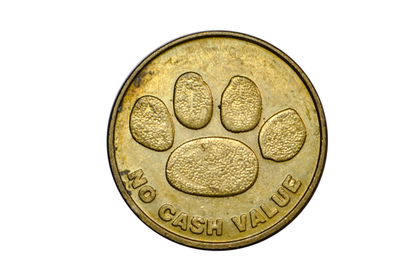 Vintage Mall of America Snoopy Camp 2001 - 2001 Camp Snoopy Mall of America Arcade Game Token