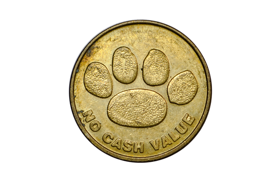 Vintage Mall of America Snoopy Camp 2001 - 2001 Camp Snoopy Mall of America Arcade Game Token