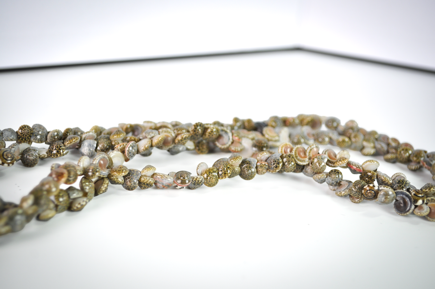 Vintage Hawaiian Seashell Necklace Statement Piece - Natural Multicolored Sea Shell Layered Necklace