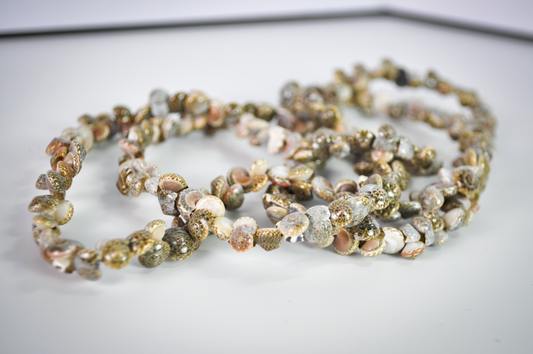 Vintage Hawaiian Seashell Necklace Statement Piece - Natural Multicolored Sea Shell Layered Necklace