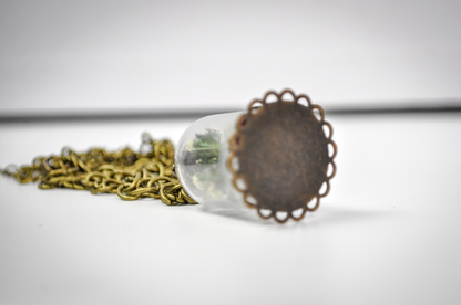 Real Insect Oddity Necklace Micro Moth Terrarium - Micro Moth Insect Terrarium Brass Necklace