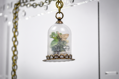 Real Insect Oddity Necklace Micro Moth Terrarium - Micro Moth Insect Terrarium Brass Necklace