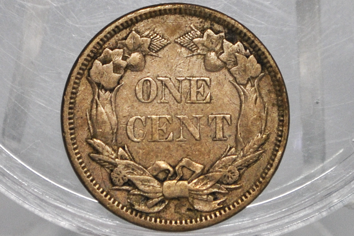 1858 Flying Eagle Penny - XF/AU Details, Small Rim Bump - 1858 Cent Flying Eagle 1858 - Discount Coin