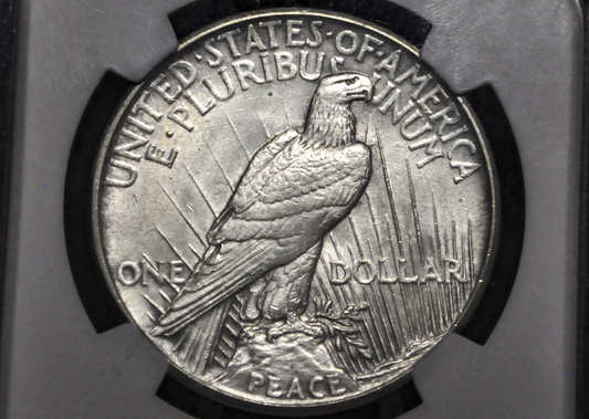 1921 Peace Dollar - Unc. Details, Cleaned, NGC - 1921 High Relief Peace Dollar Silver - Rarer Coin, Nice Detail