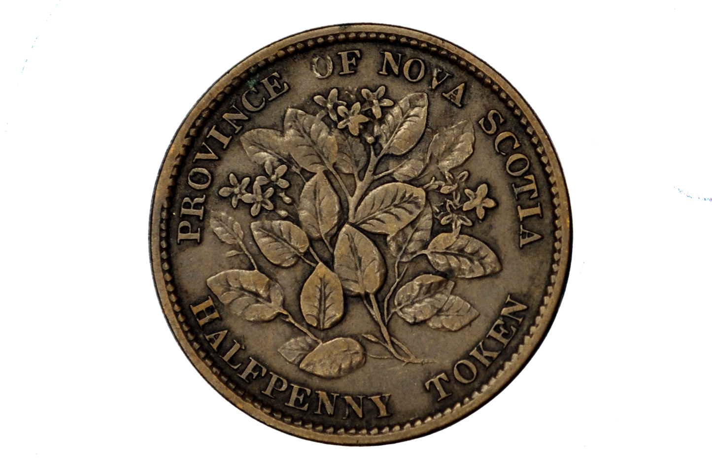 1856 Nova Scotia Half Penny Token - VF+/XF Condition - Province of Nova Scotia 1/2 Penny Token 1856, Rarer Token