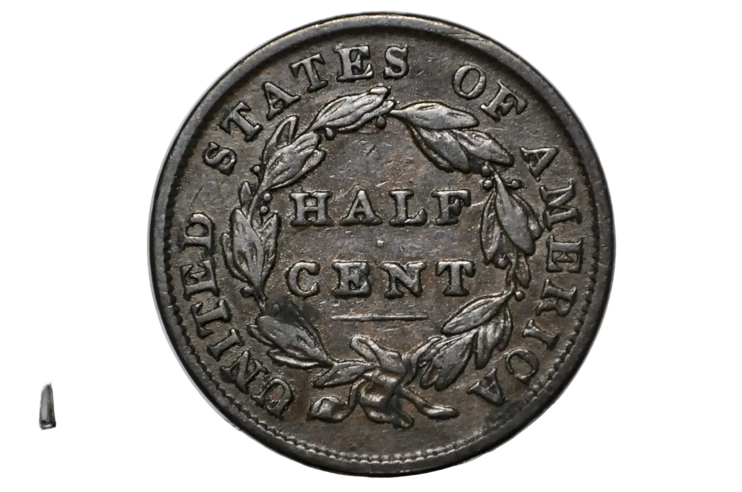 A vintage United States half cent coin with a dark metallic silver-gray patina, displayed inside a clear plastic protective capsule.