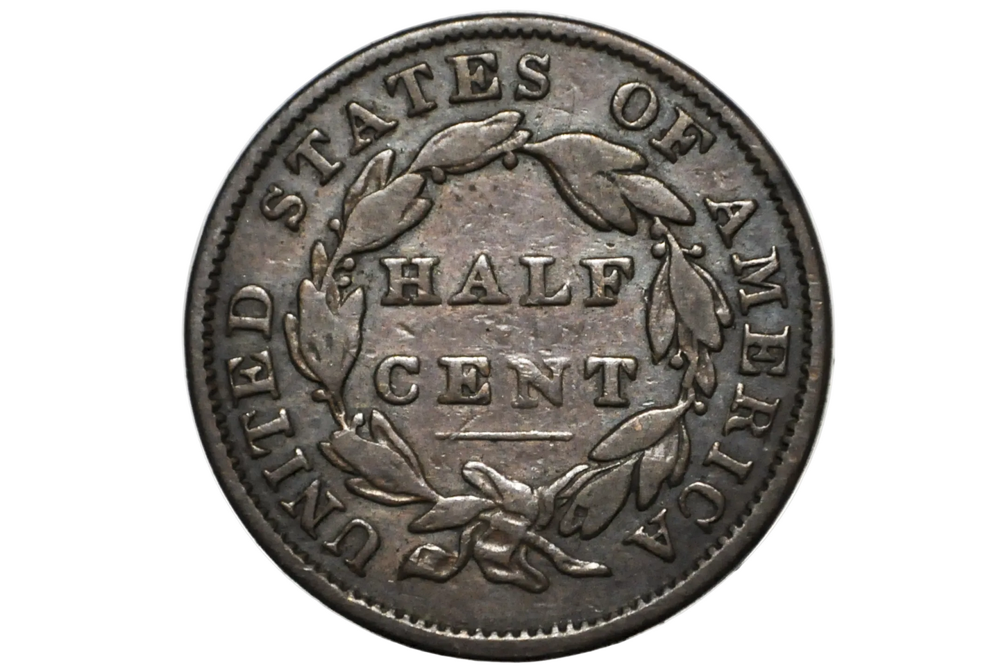 A vintage United States half cent silver coin with a laurel wreath design, displayed inside a clear plastic protective capsule.