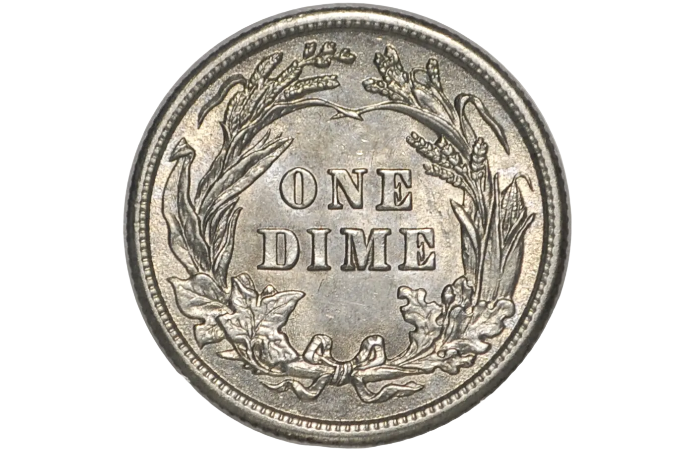 A silver-colored one dime coin with detailed botanical wreath engravings and the text 'ONE DIME' in the center, photographed inside a clear plastic protective capsule.