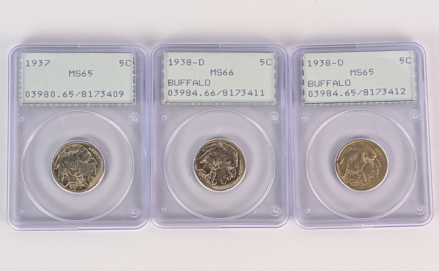 Three graded 1938 US Buffalo nickel coins in clear plastic grading cases with label inserts, displayed side by side on a white background.