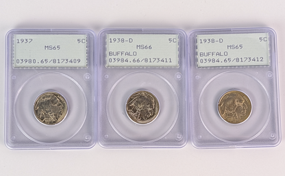 Three graded 1938 US Buffalo nickel coins in clear plastic grading cases with label inserts, displayed side by side on a white background.