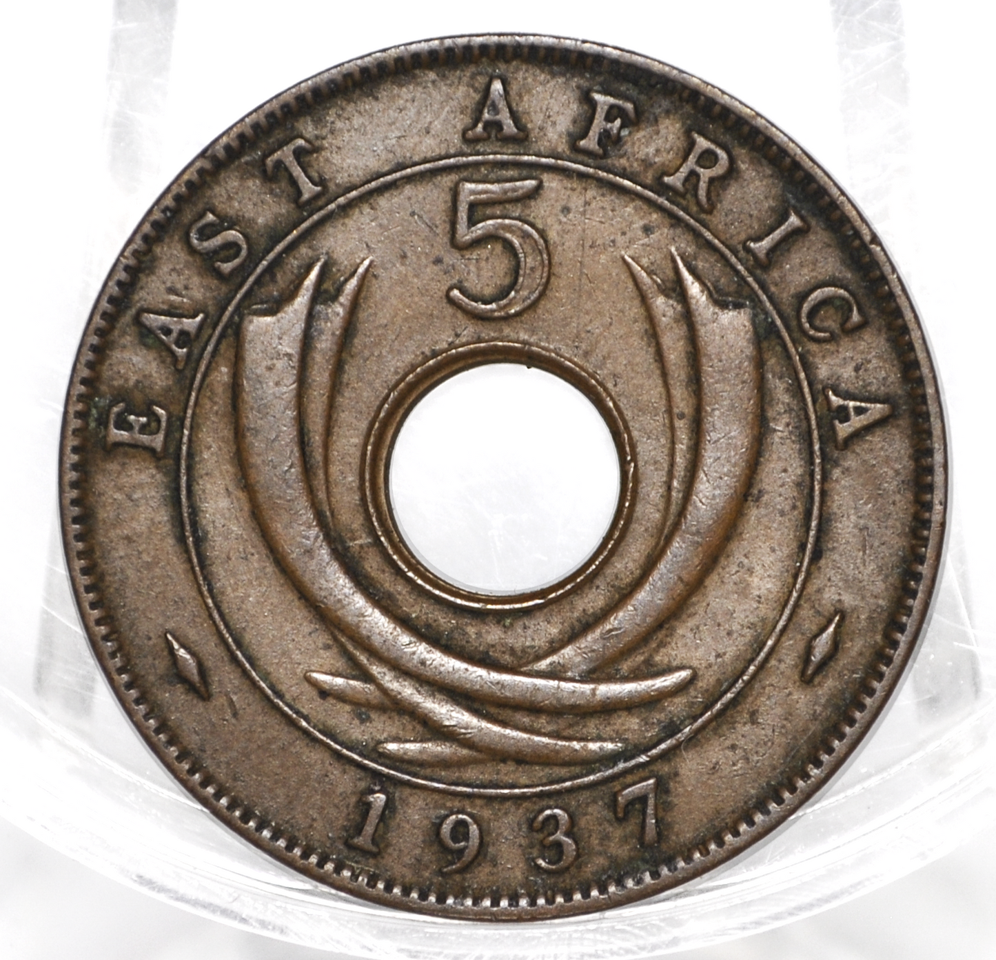 British East Africa 1937 5 Cent Coin - XF Condition - East Africa Coin - Antique African Coin - 3 Million Made