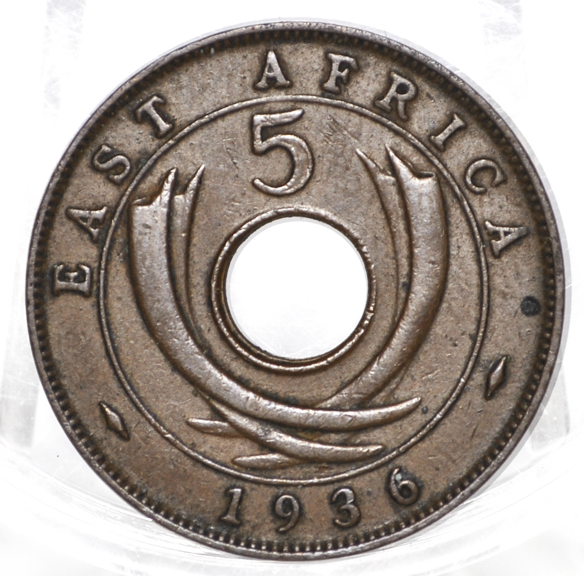 British East Africa 1936 5 Cent Coin - XF/AU Condition - East Africa Coin - Antique African Coin - 1 Million Made
