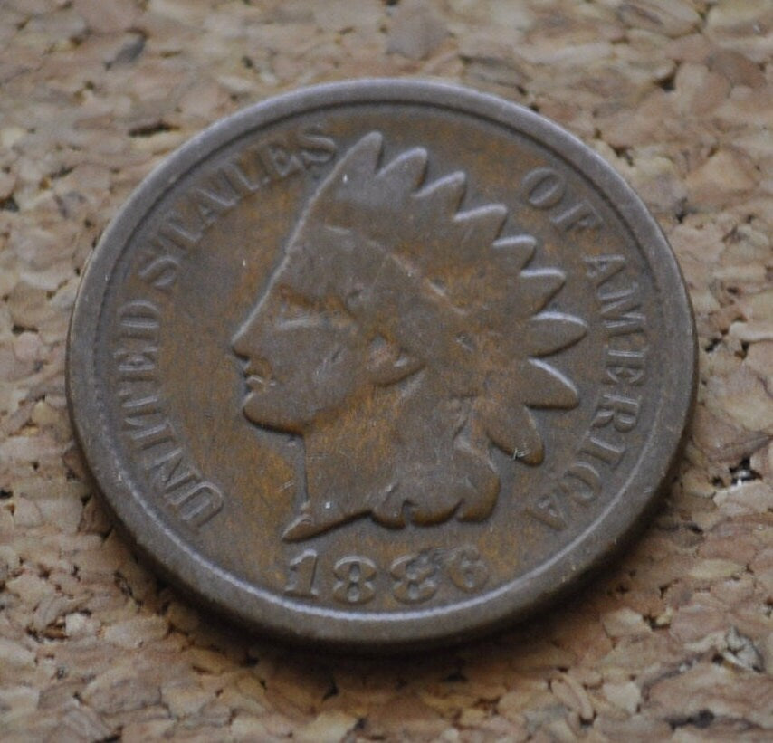 1886 Indian Head Penny Type 2 - G-VG (Good to Very Good) Grades; Choose by Grade - Type Two 1886 Indian Head Cent 1886 - Rarer Date and Type