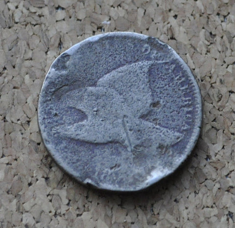 1858 Flying Eagle Penny - Low Grade - Rare Penny Type - Two years of production - 1858 Cent - 1858 Eagle Cent