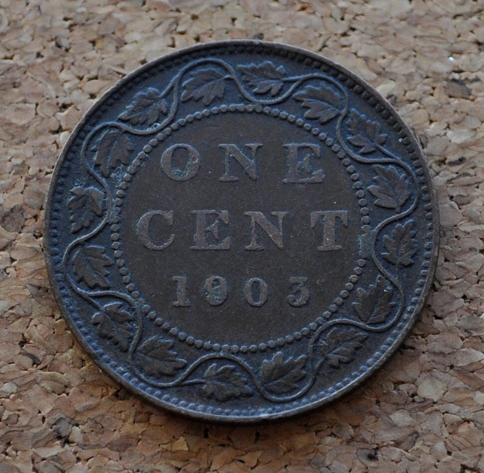 1903 Canadian Large Cent - Great Condition - King Edward VII - One Cent Canada 1903 Large Cent - 1903 Large Cent