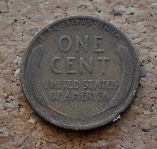 1919 D Wheat Penny - G - VG (Good to Very Good) - Denver Mint - WWI Era Coin - 1919 D Wheat Ear Cent