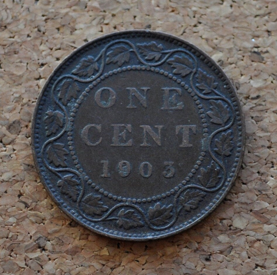 1903 Canadian Large Cent - Great Condition - King Edward VII - One Cent Canada 1903 Large Cent - 1903 Large Cent