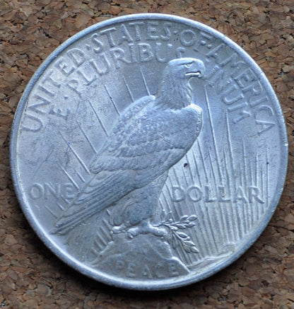 1923 Peace Silver Dollar - AU (About Uncirculated) Grade / Condition - Philadelphia Mint - Silver Dollar - 1923 P Peace Dollar Silver