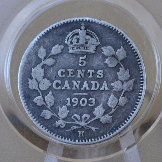 1903 Canadian Silver 5 Cent Coin - F (Fine) Condition - King George - Canada 5 Cent Sterling Silver 1903 H Canada - Lower Mintage