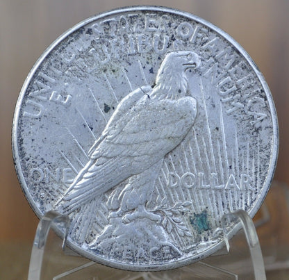 1935-S Peace Silver Dollar - Choose by Grade - San Francisco Mint - 1935 S Peace Dollar -Last Year Produced - 1935 S Silver Dollar