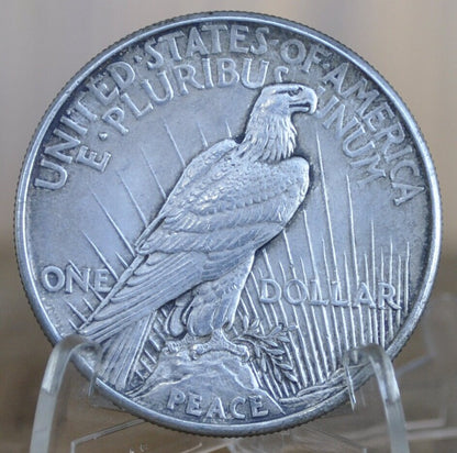 1921 Peace Silver Dollar - AU50 (About Uncirculated) Grade / Condition 1921 High Relief Peace Dollar Silver - Very High Grade, Rare