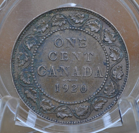 1920 Canadian Cent - Choose by Grade - VF-XF (Very to Extremely Fine) - King George V One Cent Canada 1920 Large Size - 1920 Canadian Penny