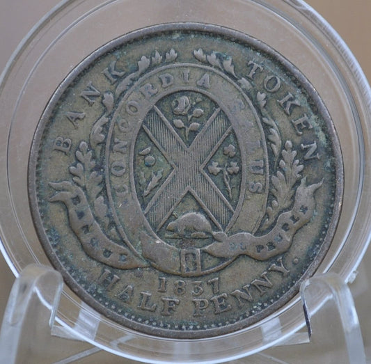 1837 Bank Token Half Penny - F (Fine) Condition - 1/2 Penny Bank Token 1837 Bank of Montreal Canadian Bank Token 1837, Low Mintage