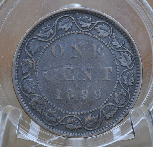 1899 Canadian Cent - VG-F (Very Good to Fine) Condition - Queen Victoria - One Cent Canada 1899 Large Cent - Canada 1899 One Cent