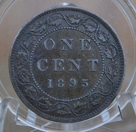 1895 Canadian One Cent - XF (Extremely Fine) Condition - Queen Victoria - 1895 Large Cent - 1895 Penny Canada 1 Cent 1895