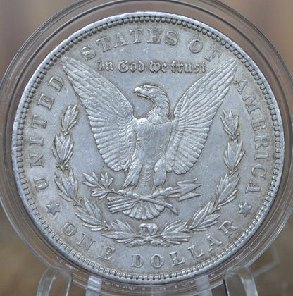 1903 Morgan Silver Dollar - XF-AU (About Uncirculated) Choose by Grade - 1903 P Morgan Dollar - Silver Dollar 1903 P - High Grades XF-AU58