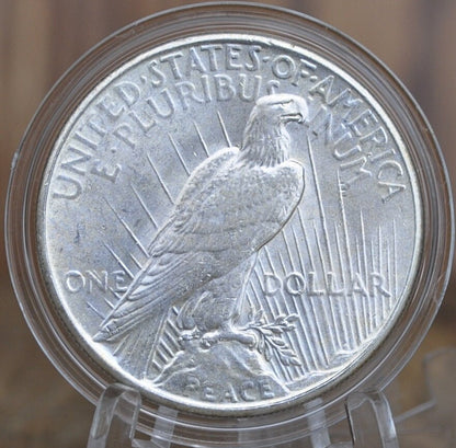 1935 Peace Silver Dollar - Choose by Grade (VF-MS62) - Philadelphia Mint - 1935 P Peace Dollar -Last Year Produced- 1935P Silver Dollar 1935