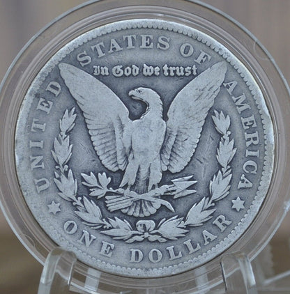 1902 Morgan Silver Dollar - Choose by Grade / Condition - 1902-P Morgan Dollar - 1902 Silver Dollar - No Mint Mark