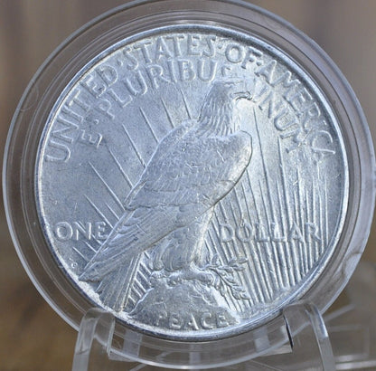 1922-D Peace Silver Dollar - Choose by Grade, XF-AU - Denver Mint - 1922 D Silver Dollar Peace Dollar 1922D