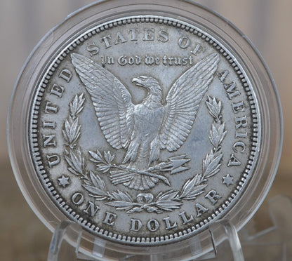 1903 Morgan Silver Dollar - XF-AU (About Uncirculated) Choose by Grade - 1903 P Morgan Dollar - Silver Dollar 1903 P - High Grades XF-AU58