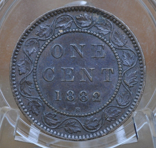 1882 Canadian Cent - XF-AU (Extremely Fine) Grade / Condition - Queen Victoria - 1882 Large Cent - 1882 H Penny Canada, Incredible Detail