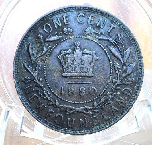 1880 Newfoundland One Cent - F (Fine) Condition - Queen Victoria - One Cent Newfoundland 1880 Large Cent - 1880 Newfoundland Cent